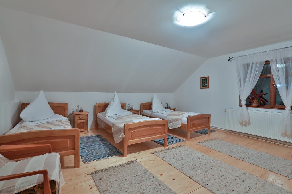 Pensiunea Casa Canda Salasu de Sus Room photo